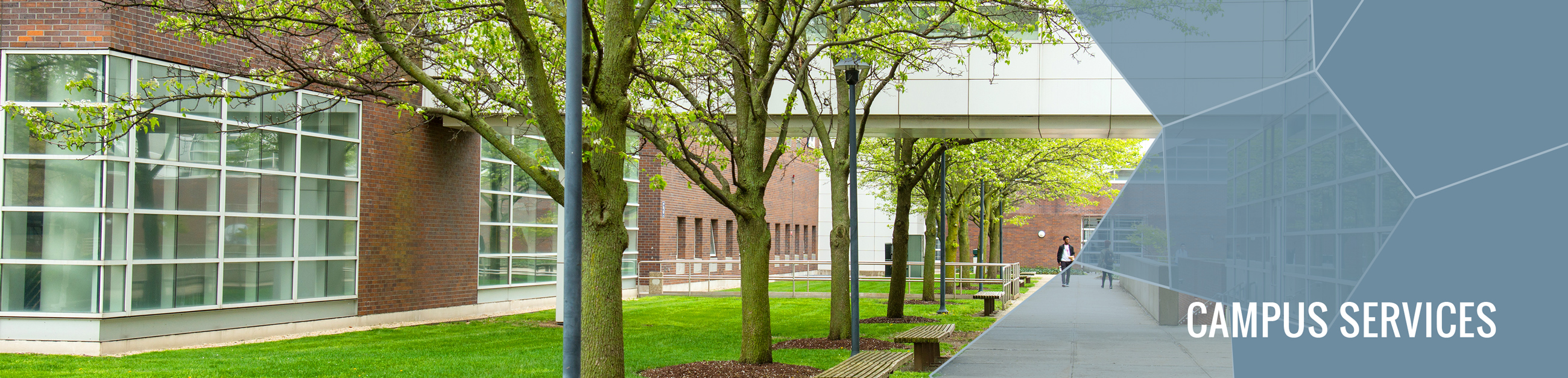 Campus buildings, trees, and benches.