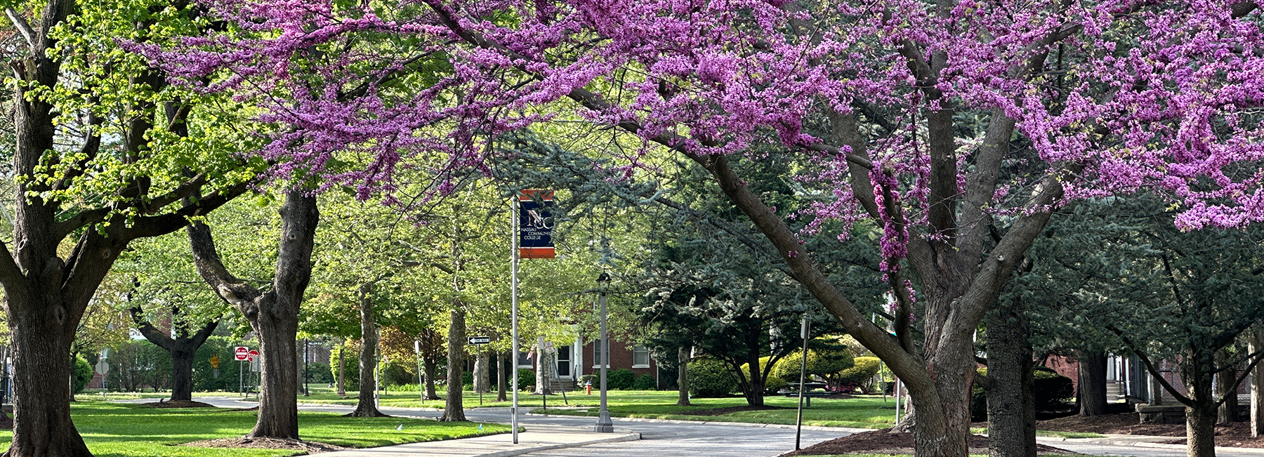 Campus Landscape In The Spring