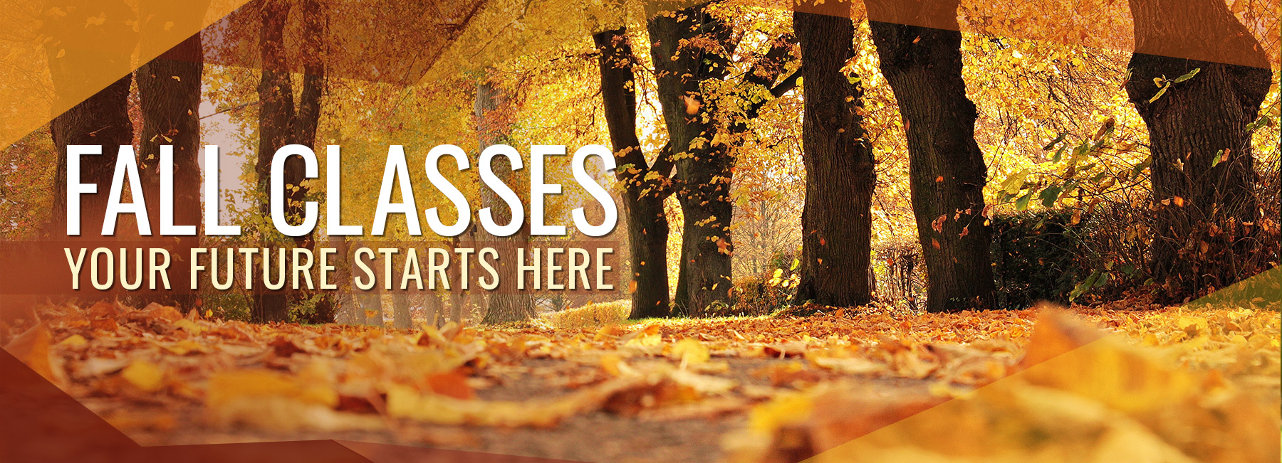 Fall leaves with text Fall Classes, your future starts here. 